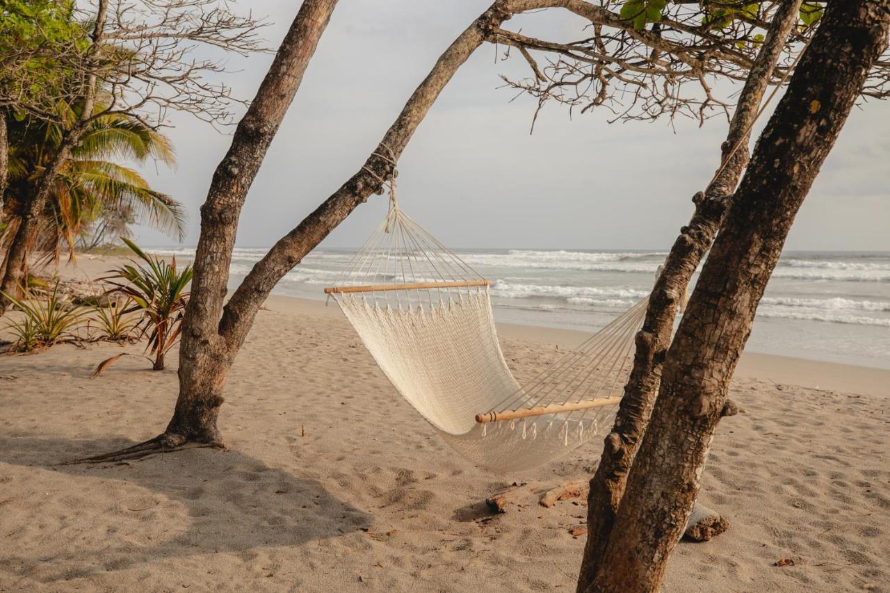 Blue Mist Hotel- Adults Only Playa Santa Teresa  Exteriör bild